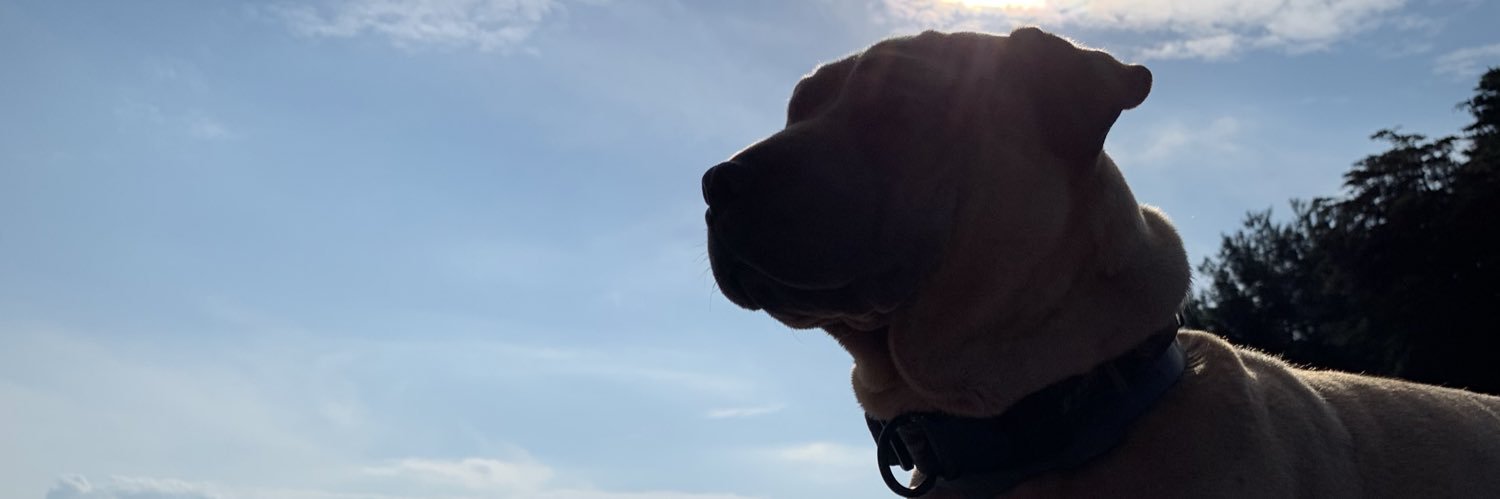 heybri95's profile banner image