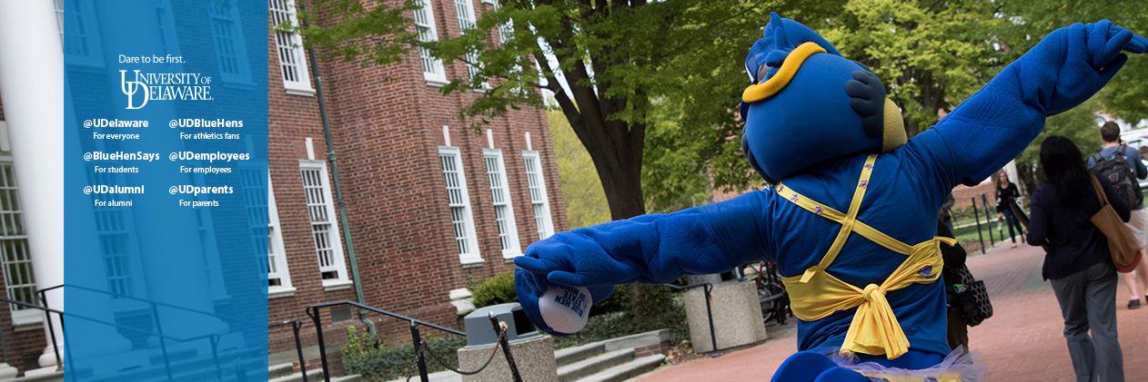BlueHenKate's profile banner image