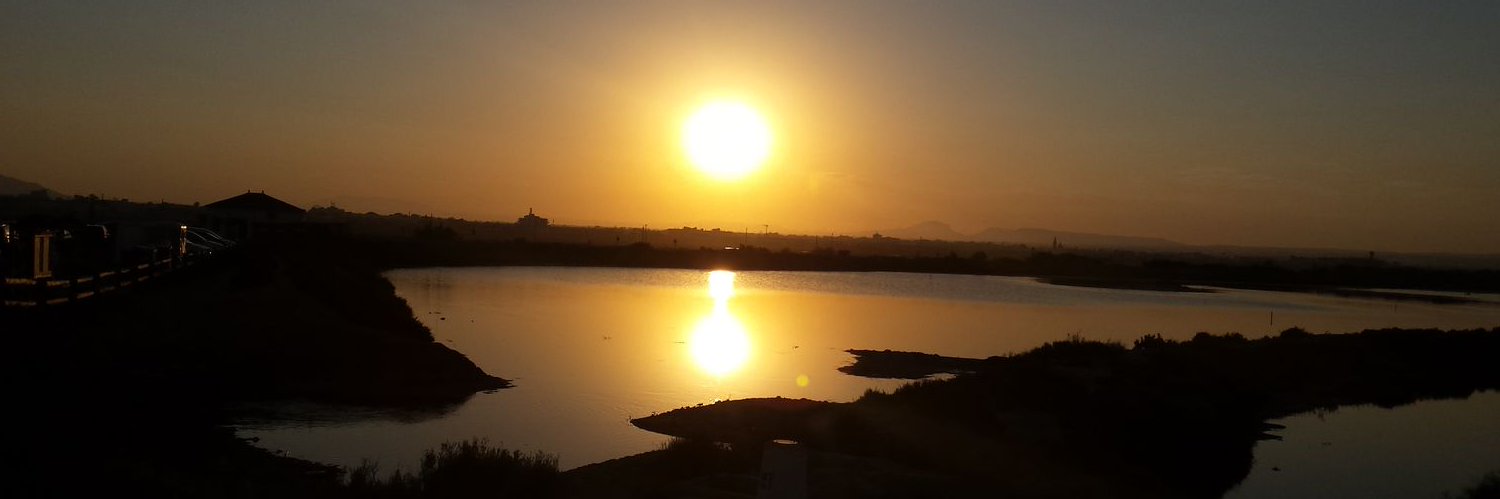 Francisco Agulló🇪🇸 banner