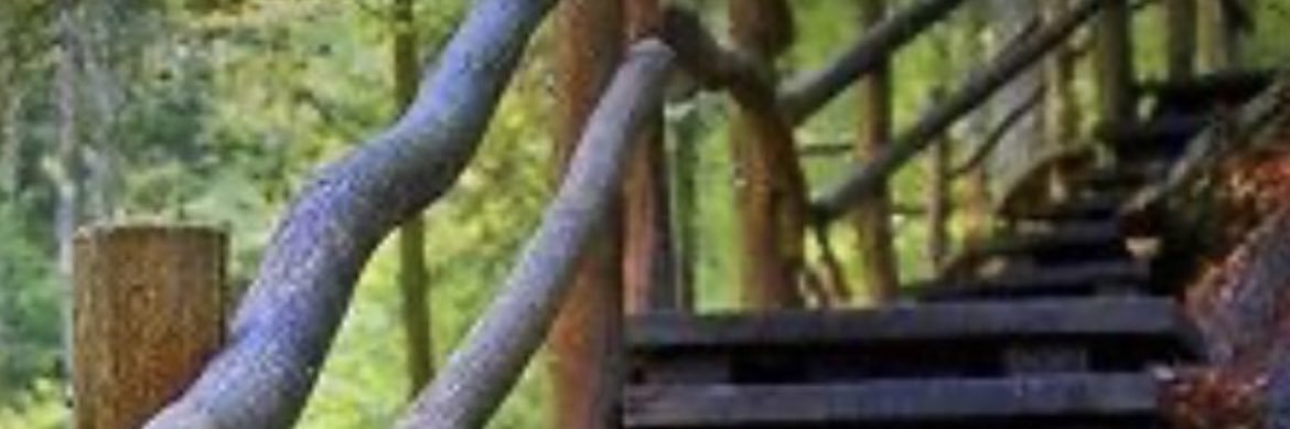 Alex María. banner
