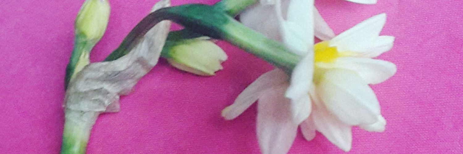 tugcemm07's profile banner image