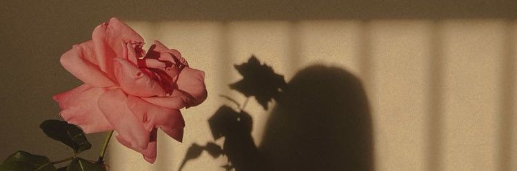 _nouurri's profile banner image
