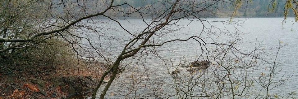 John Xerri de Caro banner