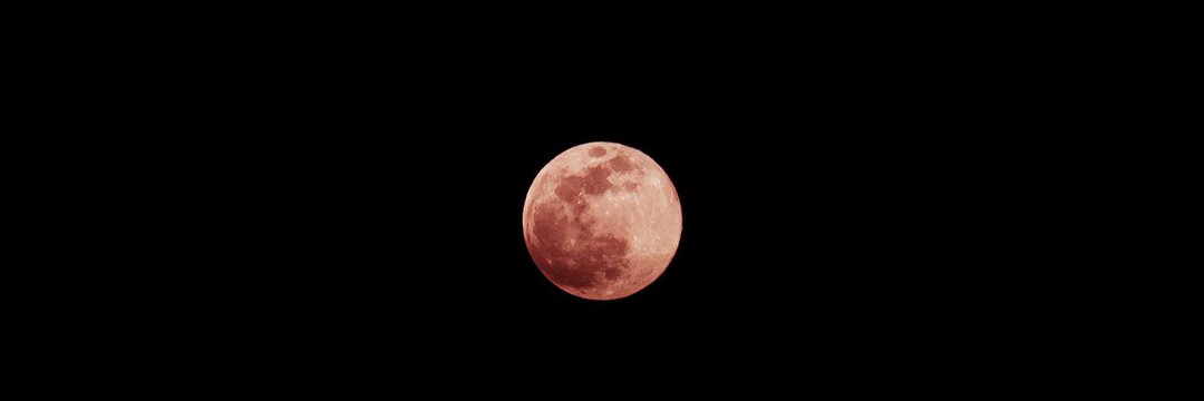 leo_nezes's profile banner image