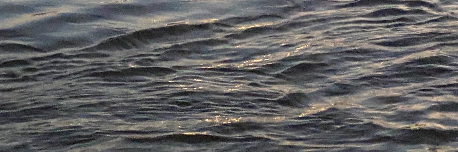 imnotyourpak (slow) banner