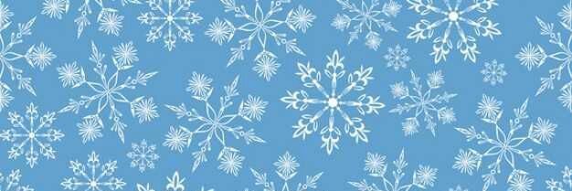 SNOWFLAKEBASE's profile banner image
