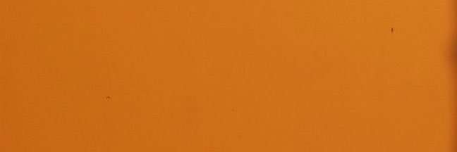 _nevarafausta's profile banner image