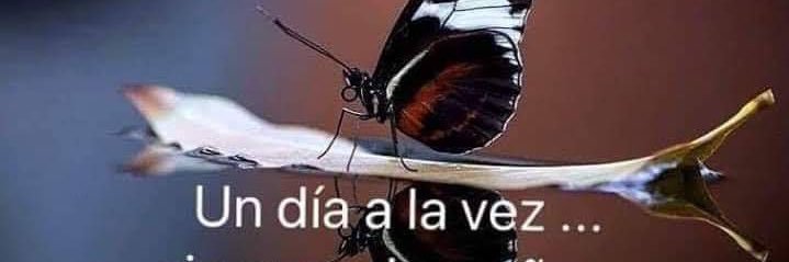 crisantemaSol's profile banner image
