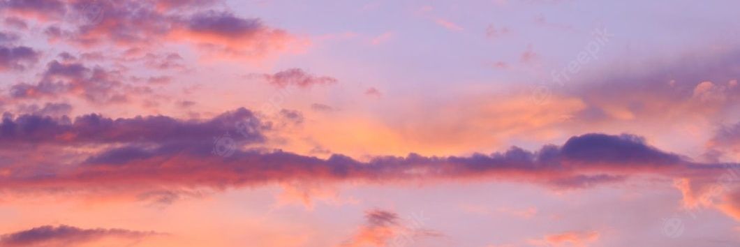 KittenMarta's profile banner image