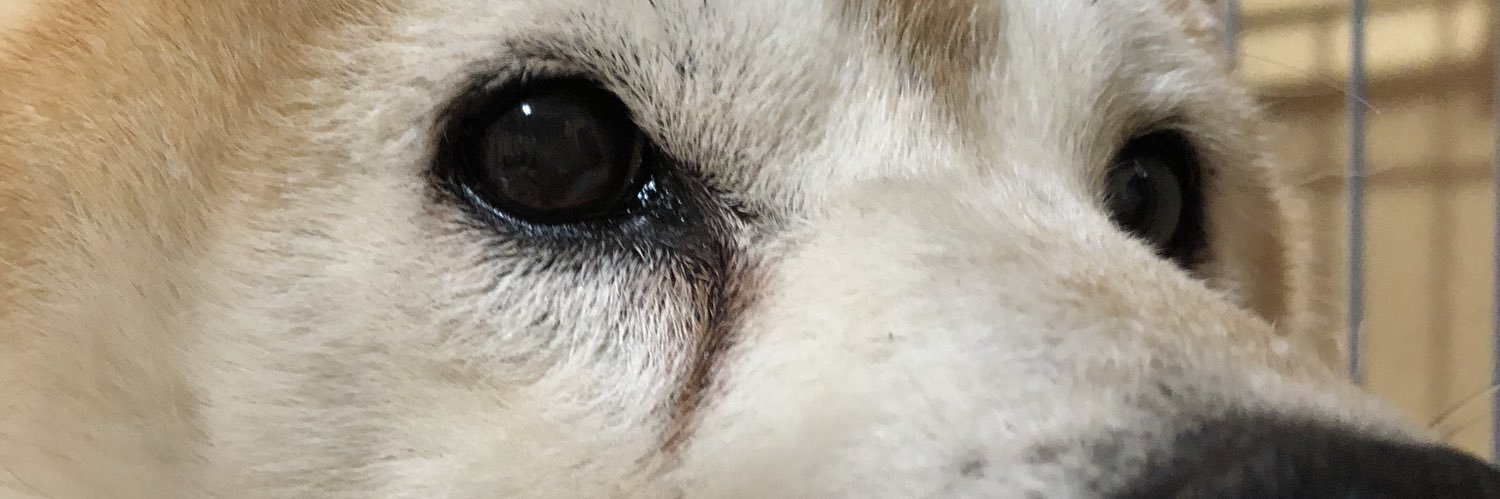 48ken_10's profile banner image