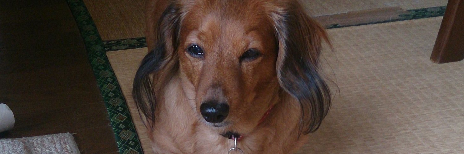 wasatte's profile banner image