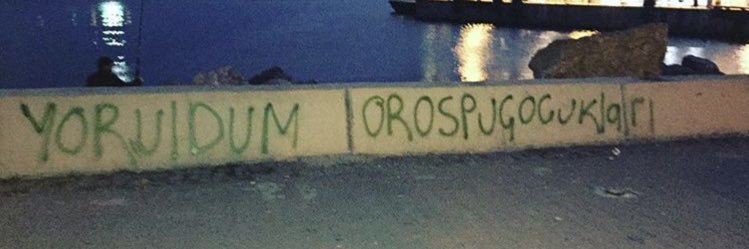 MSonrayazar's profile banner image