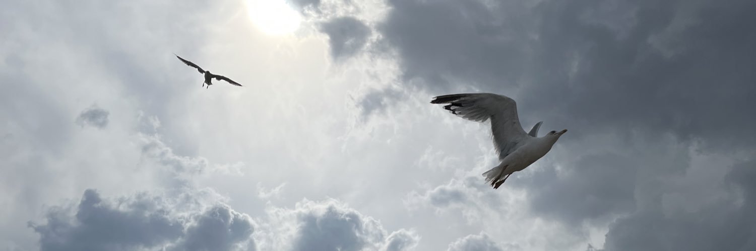 Ayşe ÇLKKNT banner
