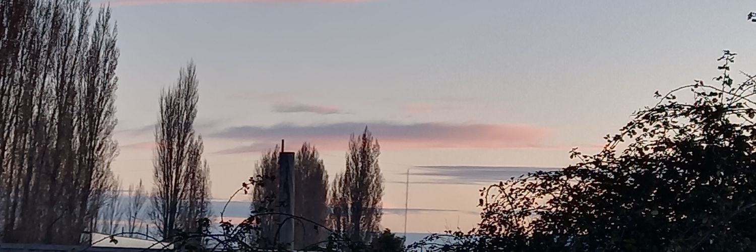 Chaina6666's profile banner image