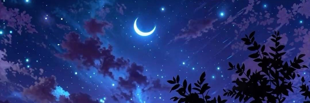 QueenNightWingx's profile banner image
