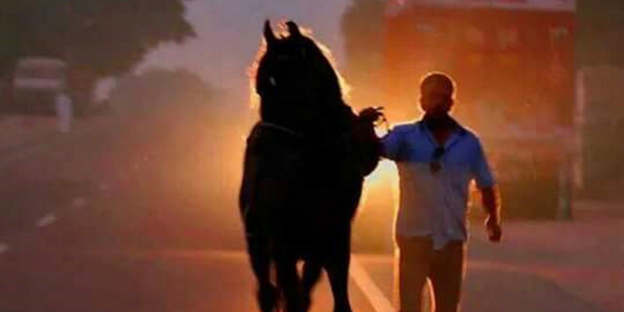 singhsid_singh's profile banner image