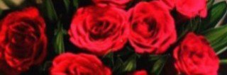 aneen92's profile banner image