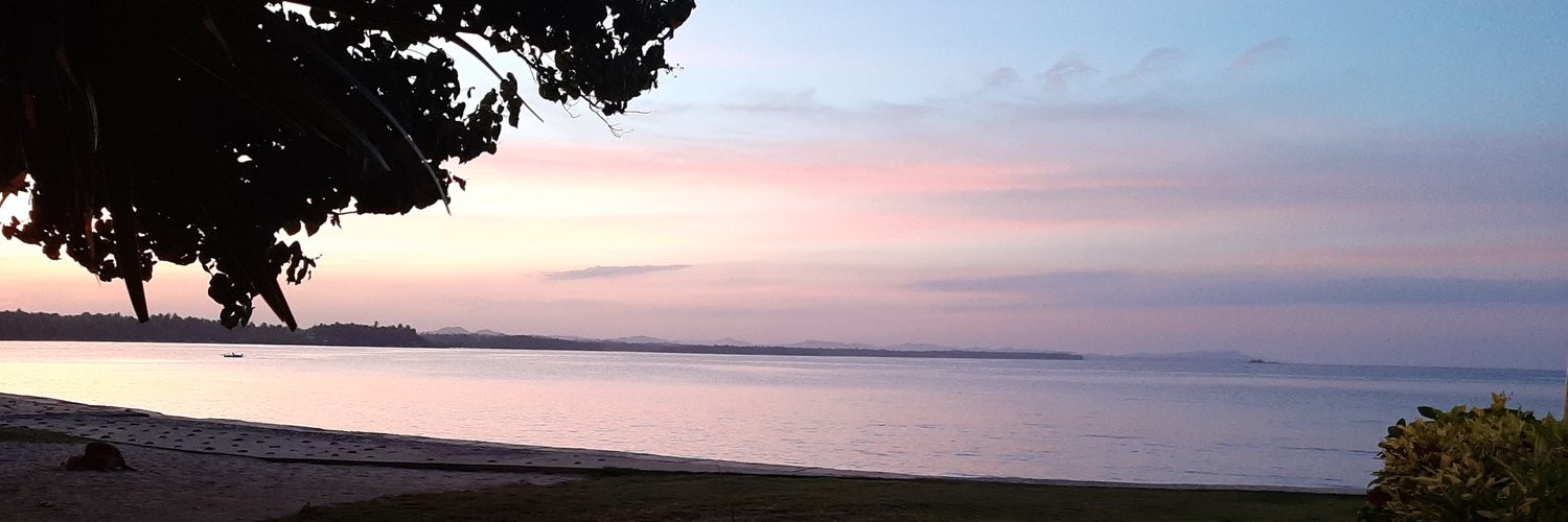 RobinDalmy's profile banner image