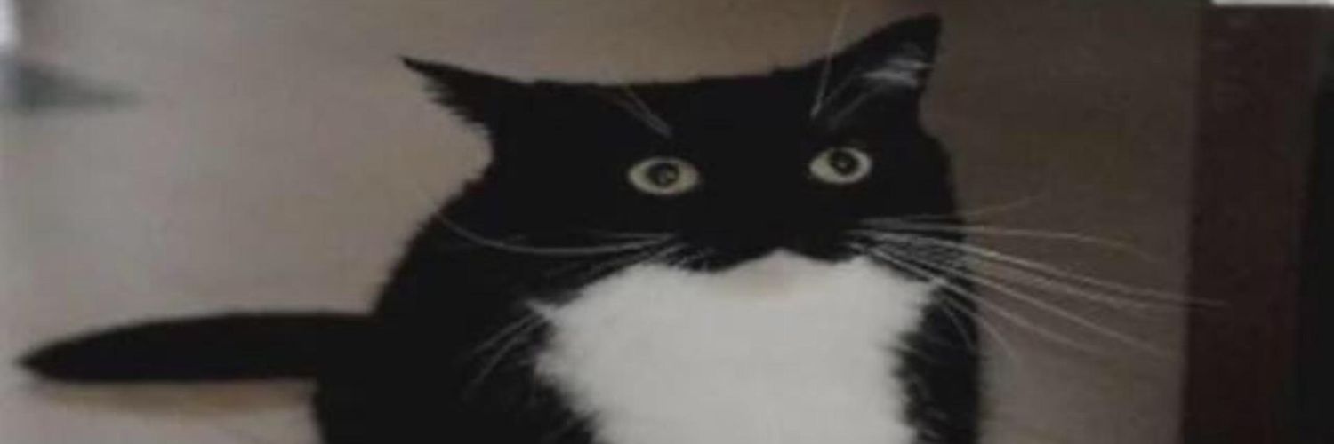 Jesse_Aster's profile banner image