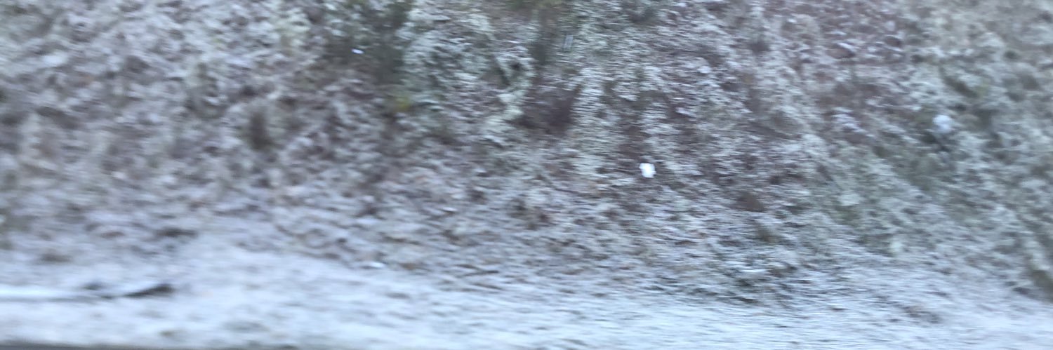 Bárbara Barreira banner
