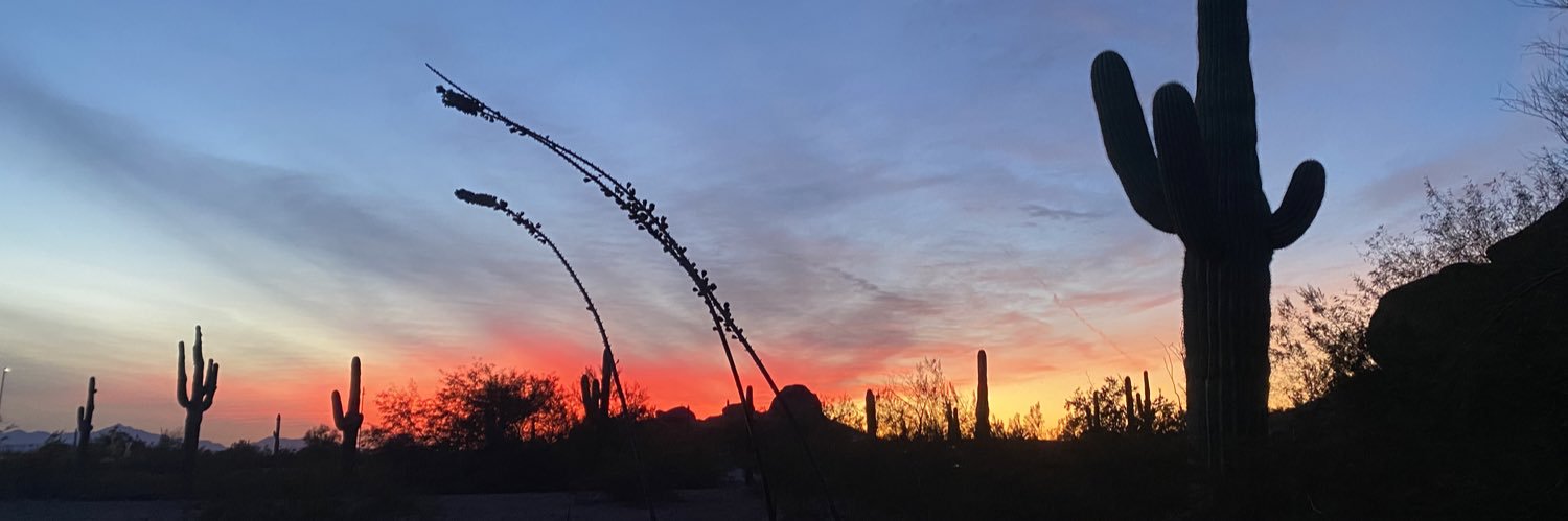 logandougherty_'s profile banner image
