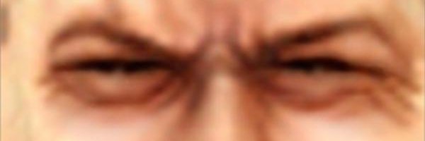 fede banner