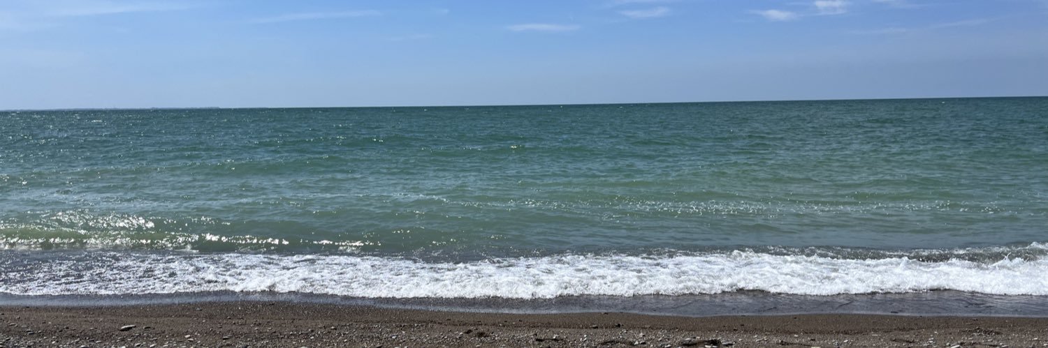 Mrs. Kathy Freeman banner