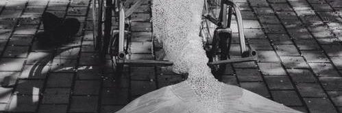 Rebecca Maskos banner