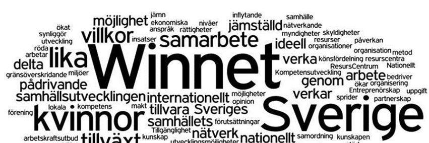 Winnet Sverige banner