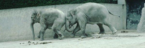 Gluggen777 Profile Banner