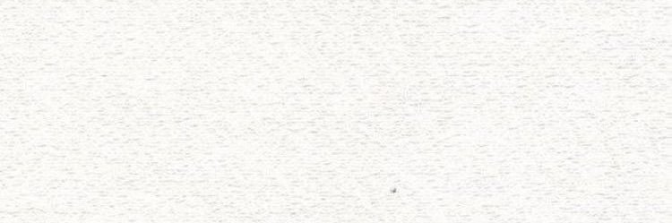 cami banner