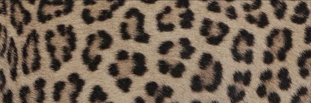 kimberlypardox0's profile banner image