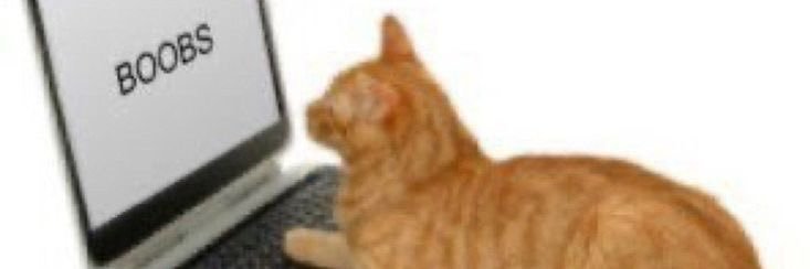 wrld_ndr's profile banner image