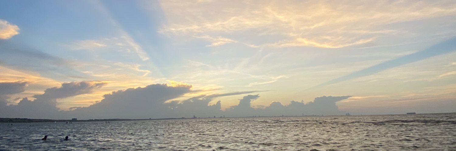 luisangto's profile banner image