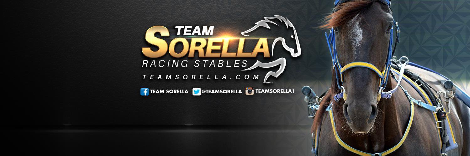 TeamSorella's profile banner image