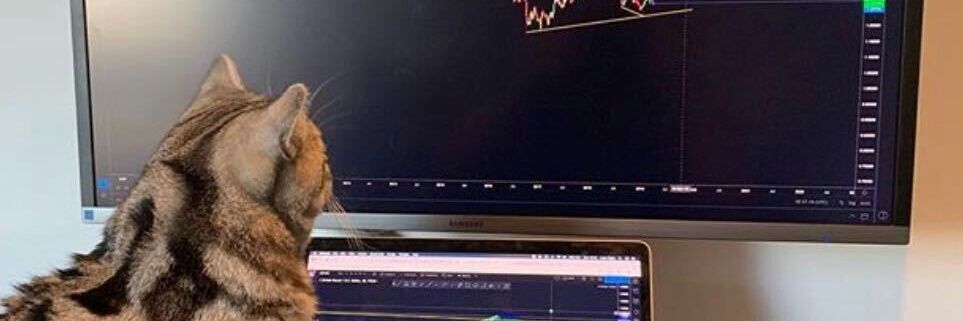 jahel banner