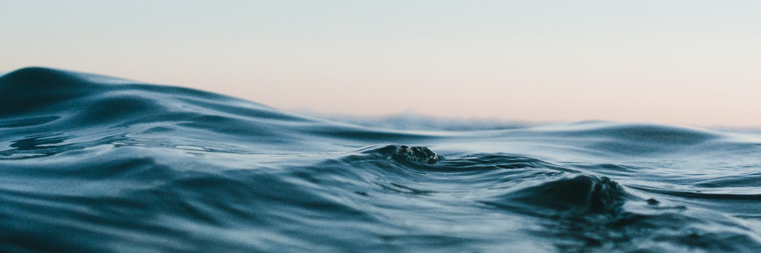 Victoria Riglen banner