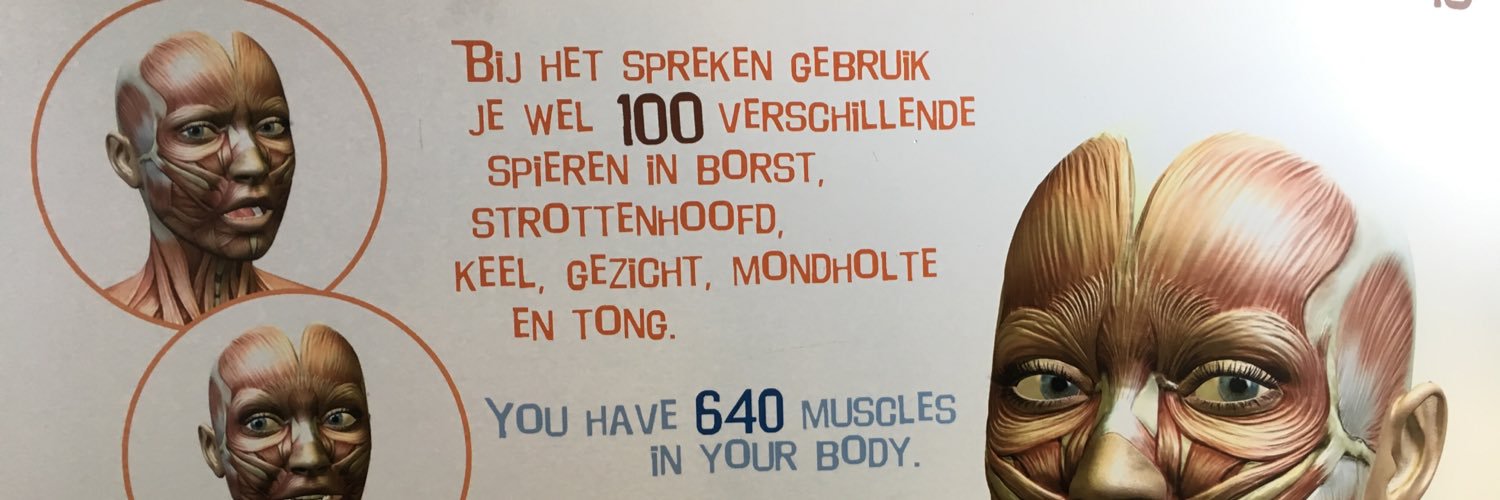 logonieuws's profile banner image