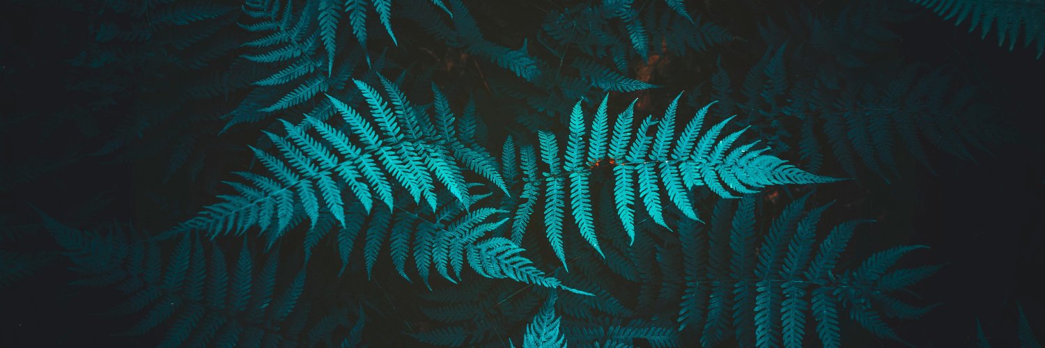 _sofiamena's profile banner image