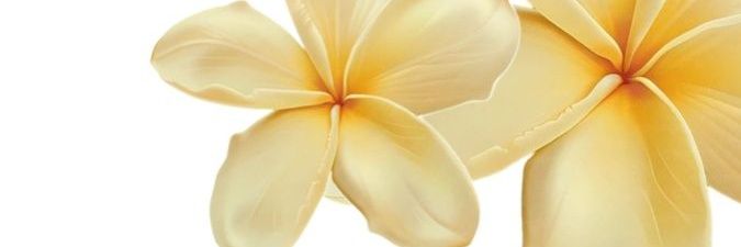 almostgigi's profile banner image