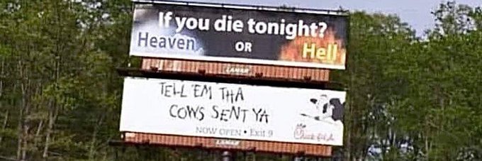cows banner