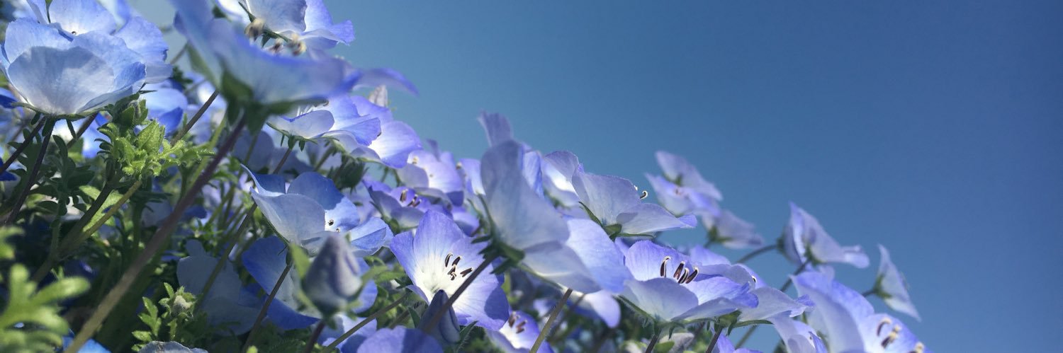 acg_000's profile banner image