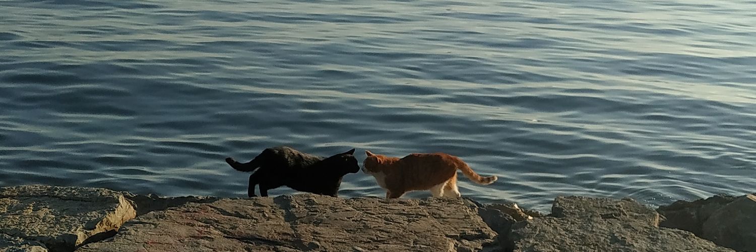 garfieldxaa's profile banner image