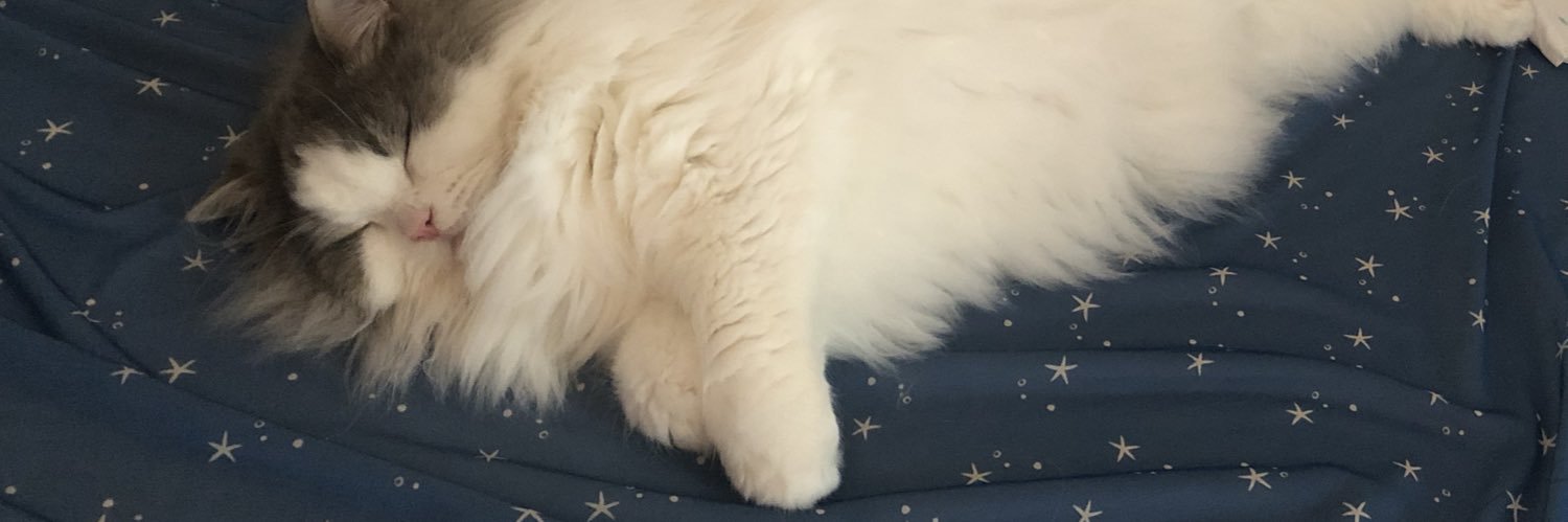 chipitandayo's profile banner image