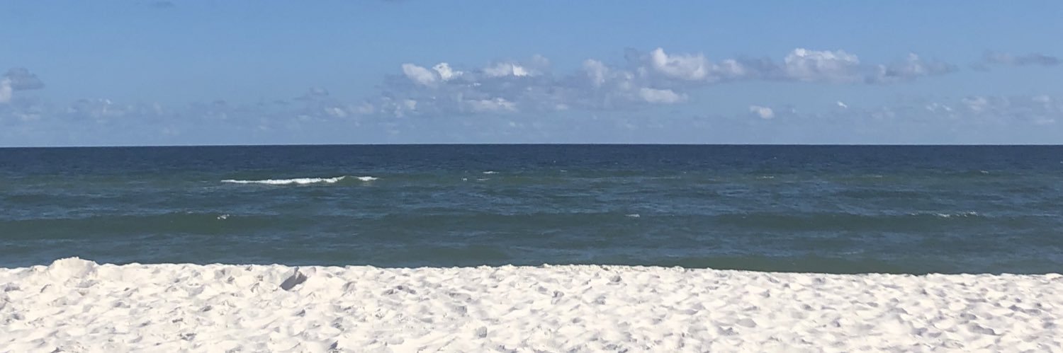 TerryDianePTX's profile banner image