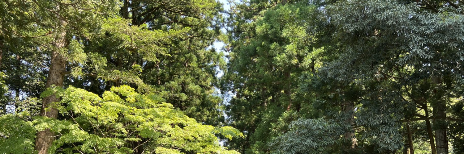 yksts0421's profile banner image
