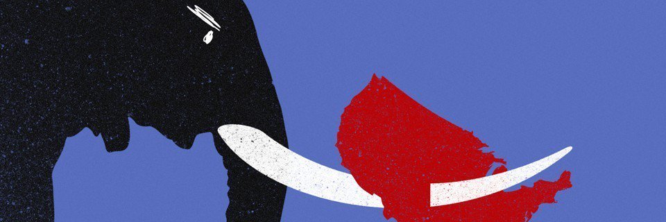 Mrk_D banner