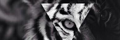 edgar_11's profile banner image