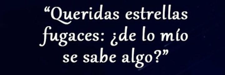 isabel_monleon's profile banner image