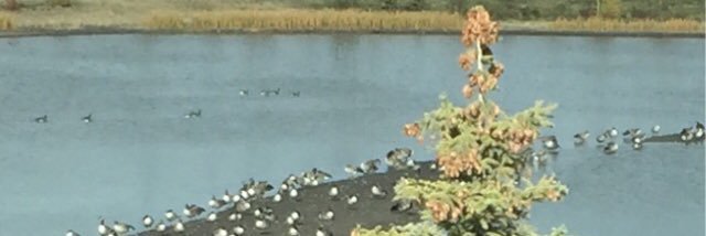 CountyWL's profile banner image